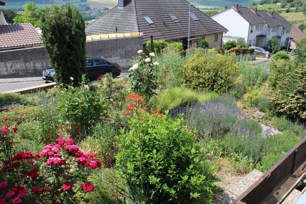 ++++ Verkauft Mölsheim: Einfamilienhaus in ruhiger Lage - Bild# 13