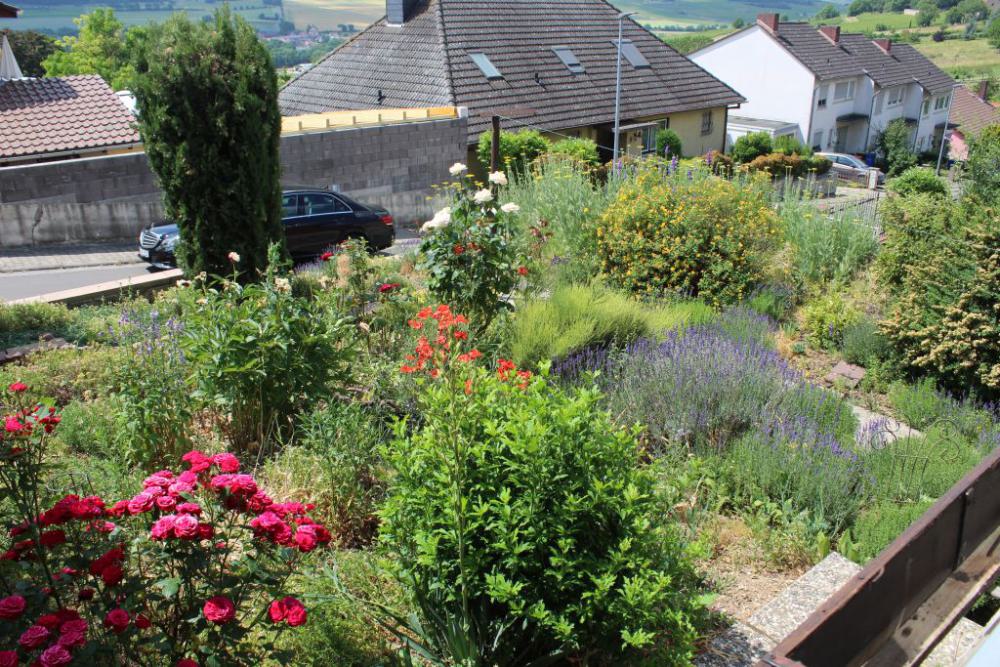 ++++ Verkauft Mölsheim: Einfamilienhaus in ruhiger Lage - Bild# 13