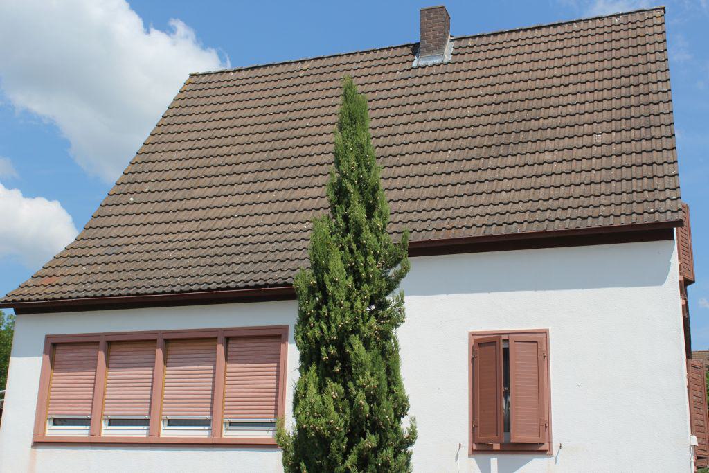 Mölsheim: Einfamilienhaus in ruhiger Lage - Bild# 4
