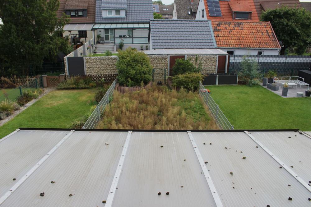 ++++ Verkauft Mannheim Schönau: Einfamilienhaus in ruhiger Lage - Bild# 6
