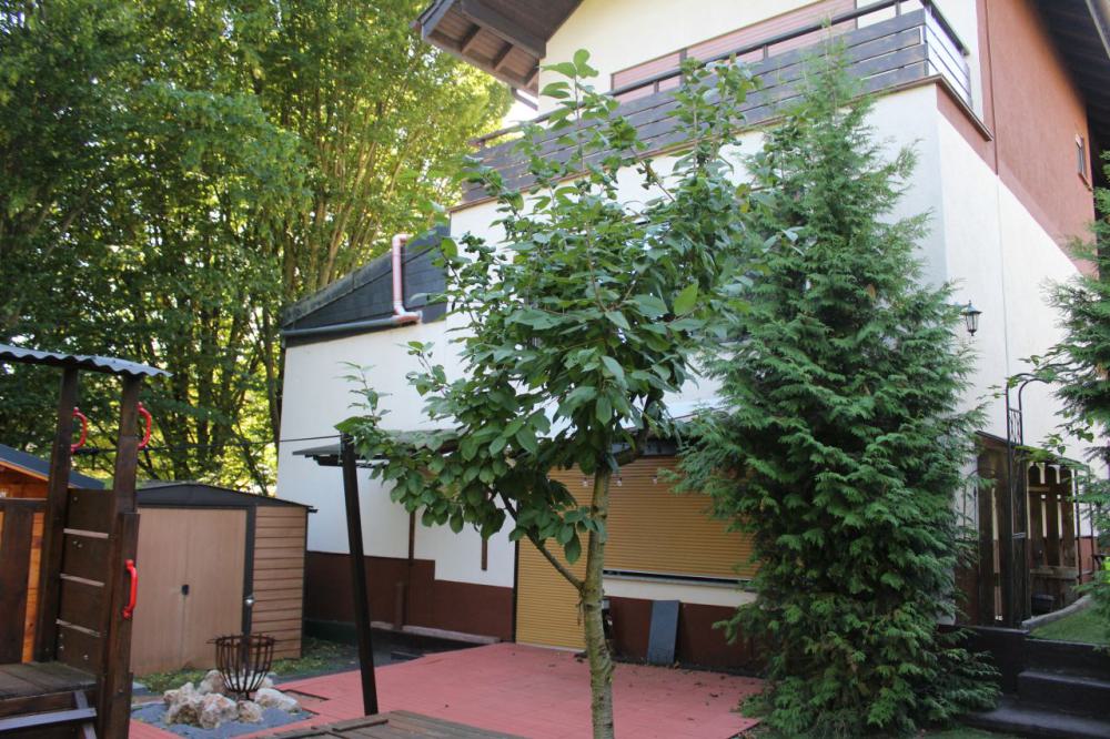 Großzügiges Massivhaus mit Gartenidylle, Terrasse & Balkon – flexibel als Ein- oder Zweifamilienhaus - Bild# 6