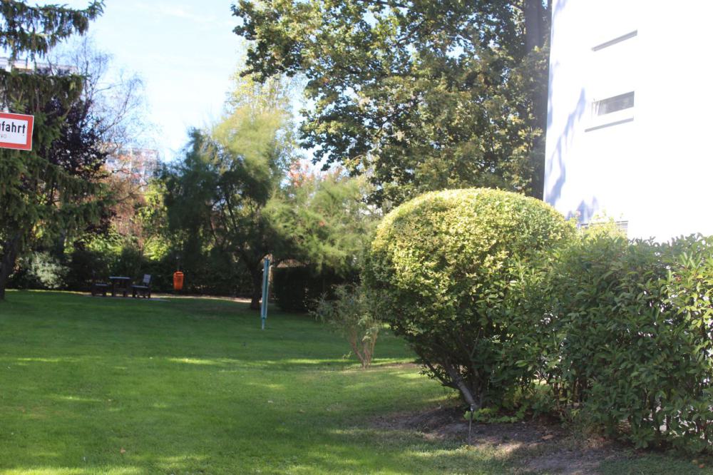  - Bild# 11